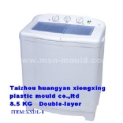 Washing Machine Mould