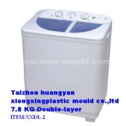 Washing Machine Mould